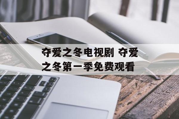 夺爱之冬电视剧 夺爱之冬第一季免费观看-第1张图片-