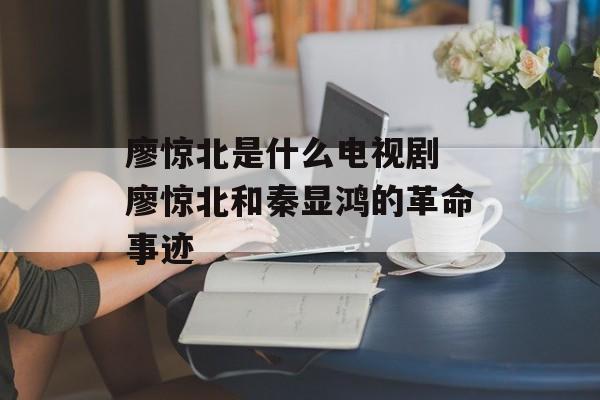 廖惊北是什么电视剧 廖惊北和秦显鸿的革命事迹-第1张图片-