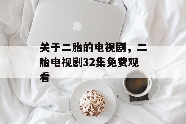 关于二胎的电视剧，二胎电视剧32集免费观看-第1张图片-