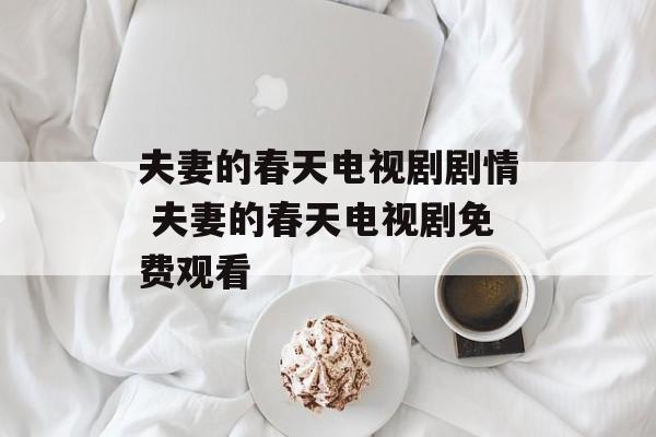 夫妻的春天电视剧剧情 夫妻的春天电视剧免费观看-第1张图片-