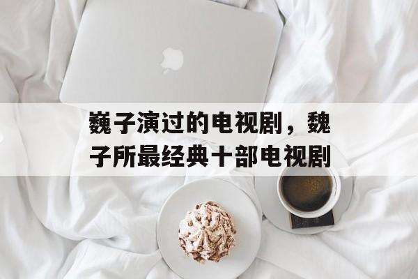 巍子演过的电视剧，魏子所最经典十部电视剧-第1张图片-