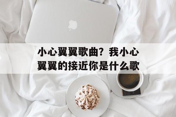 小心翼翼歌曲？我小心翼翼的接近你是什么歌-第1张图片-