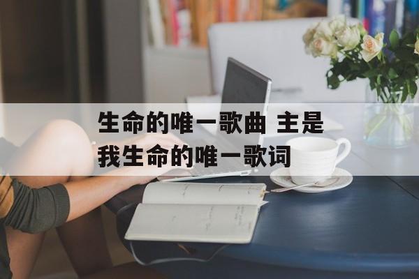 生命的唯一歌曲 主是我生命的唯一歌词-第1张图片-