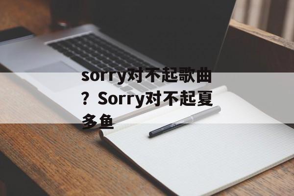 sorry对不起歌曲？Sorry对不起夏多鱼-第1张图片-