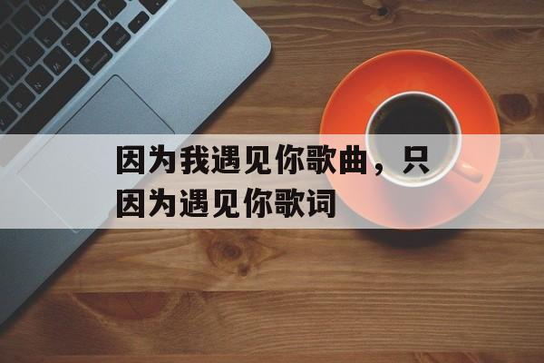 因为我遇见你歌曲，只因为遇见你歌词-第1张图片-