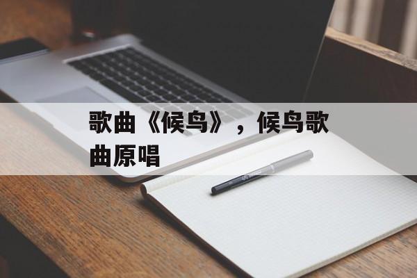 歌曲《候鸟》，候鸟歌曲原唱-第1张图片-