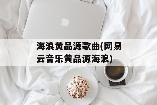 海浪黄品源歌曲(网易云音乐黄品源海浪)-第1张图片-