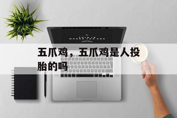 五爪鸡，五爪鸡是人投胎的吗-第1张图片-