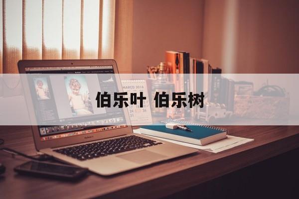 伯乐叶 伯乐树-第1张图片-
