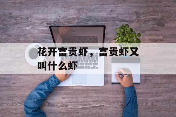 花开富贵虾，富贵虾又叫什么虾-第1张图片-