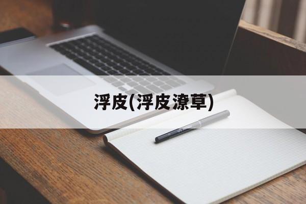 浮皮(浮皮潦草)-第1张图片-