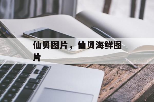 仙贝图片，仙贝海鲜图片-第1张图片-