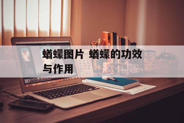 蝤蠓图片 蝤蠓的功效与作用-第1张图片-