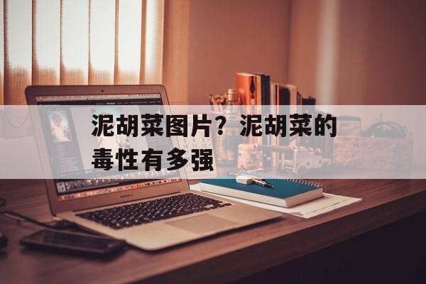 泥胡菜图片？泥胡菜的毒性有多强-第1张图片-