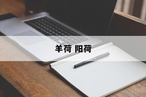 羊荷 阳荷-第1张图片-
