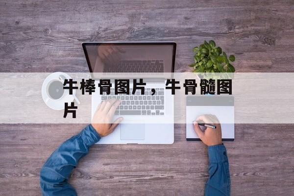 牛棒骨图片，牛骨髓图片-第1张图片-