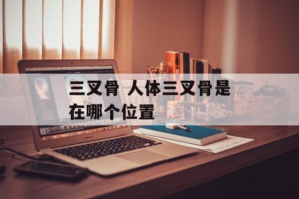 三叉骨 人体三叉骨是在哪个位置-第1张图片-