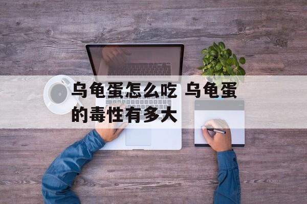 乌龟蛋怎么吃 乌龟蛋的毒性有多大-第1张图片-