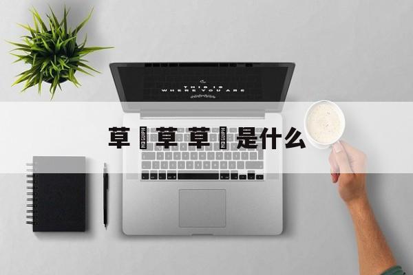 草粿草 草粿是什么-第1张图片-