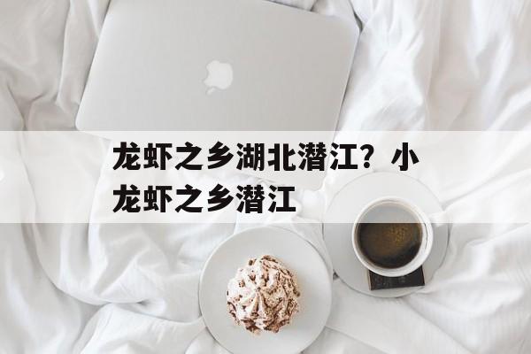龙虾之乡湖北潜江？小龙虾之乡潜江-第1张图片-