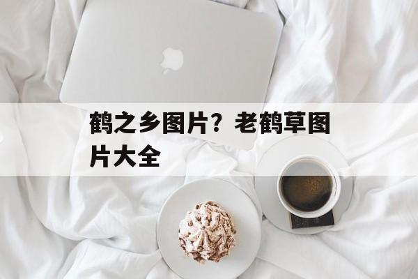 鹤之乡图片？老鹤草图片大全-第1张图片-