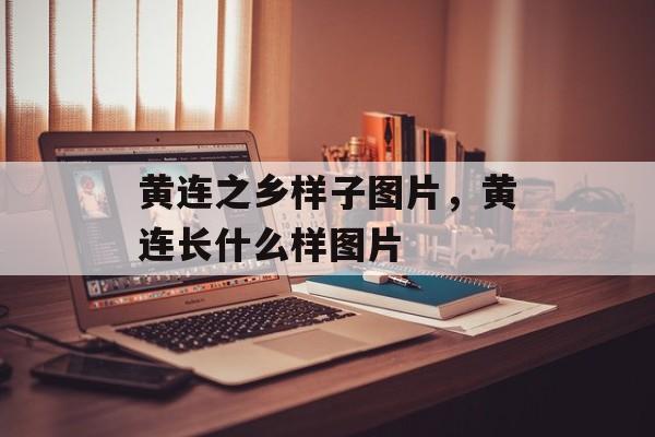 黄连之乡样子图片，黄连长什么样图片-第1张图片-