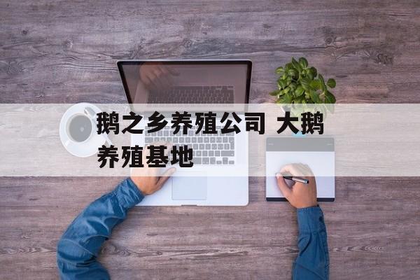 鹅之乡养殖公司 大鹅养殖基地-第1张图片-