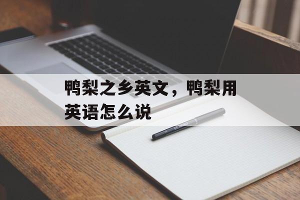 鸭梨之乡英文，鸭梨用英语怎么说-第1张图片-