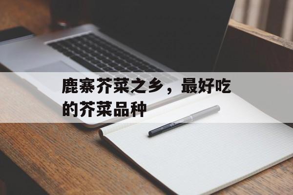 鹿寨芥菜之乡，最好吃的芥菜品种-第1张图片-