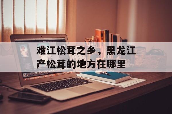 难江松茸之乡，黑龙江产松茸的地方在哪里-第1张图片-