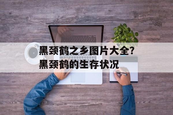 黑颈鹤之乡图片大全？黑颈鹤的生存状况-第1张图片-