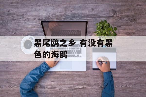 黑尾鸥之乡 有没有黑色的海鸥-第1张图片-
