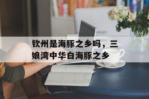 钦州是海豚之乡吗，三娘湾中华白海豚之乡-第1张图片-