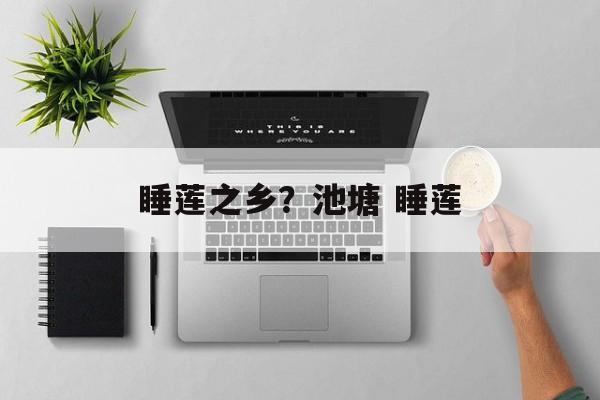 睡莲之乡？池塘 睡莲-第1张图片-