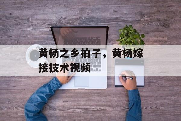 黄杨之乡拍子，黄杨嫁接技术视频-第1张图片-