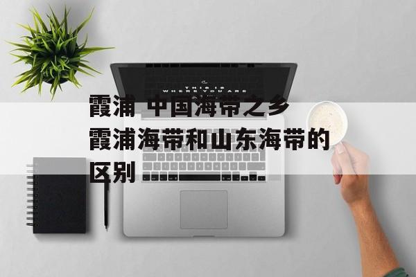 霞浦 中国海带之乡 霞浦海带和山东海带的区别-第1张图片-