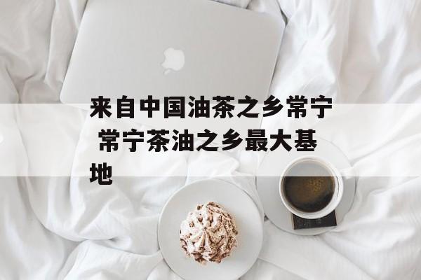 来自中国油茶之乡常宁 常宁茶油之乡最大基地-第1张图片-