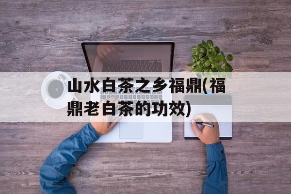 山水白茶之乡福鼎(福鼎老白茶的功效)-第1张图片-