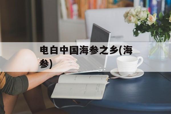 电白中国海参之乡(海参)-第1张图片-