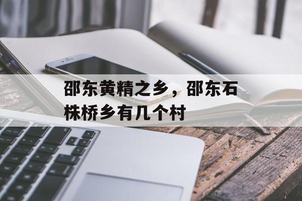 邵东黄精之乡，邵东石株桥乡有几个村-第1张图片-