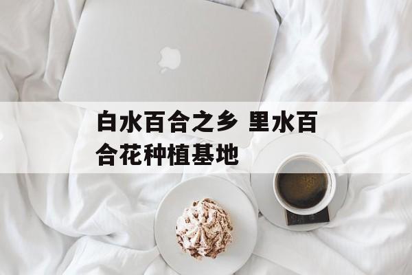 白水百合之乡 里水百合花种植基地-第1张图片-