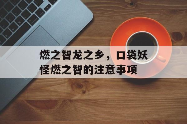 燃之智龙之乡，口袋妖怪燃之智的注意事项-第1张图片-