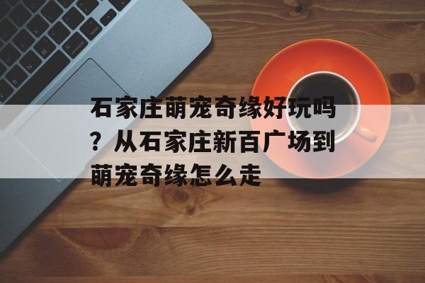 石家庄萌宠奇缘好玩吗？从石家庄新百广场到萌宠奇缘怎么走-第1张图片-