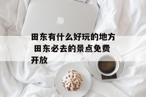 田东有什么好玩的地方 田东必去的景点免费开放-第1张图片-