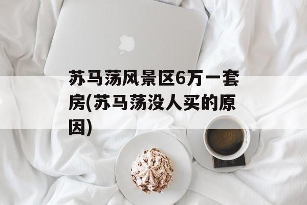 苏马荡风景区6万一套房(苏马荡没人买的原因)-第1张图片-